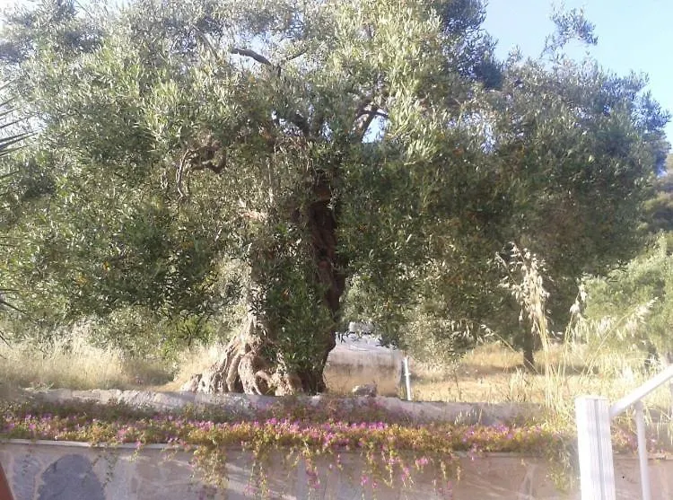 Ξενοδοχείο Sofia Studios Νέα Σκιώνη