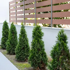 Ξενοδοχείο με διαμερίσματα Casa Maresol, Νέα Σκιώνη